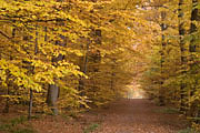 Herbst im Naturpark Stromberg-Heuchelberg