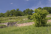 Trockenmauer Weinberg