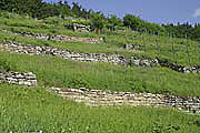 Trockenmauern