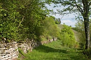 Trockenmauer
