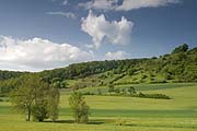 Naturschutzgebiet F&uuml;llembacher Hofberg