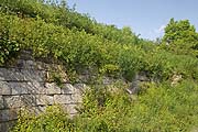 Trockenmauer
