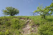 F&uuml;llmenbacher Hofberg