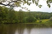 Kleiner Weiher in der N&auml;he des Wanderheims F&uuml;llmenbach