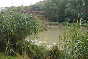 Hamberger See