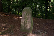 Rittersprung