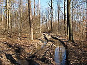 Fahrspuren im Wanderweg