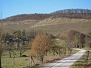 Im Schippachtal