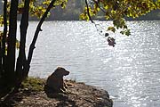 Heiligenbergsee