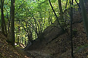 Hohlweg