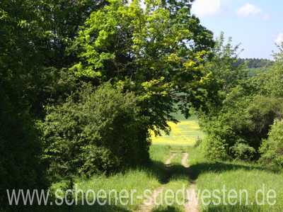 Idyllische Wiesenwege prägen die Wanderung auf dem Herkulespfad über weite Strecken.