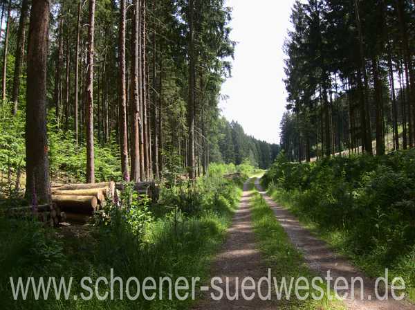 Auf dem Weg zum Eutergrund.