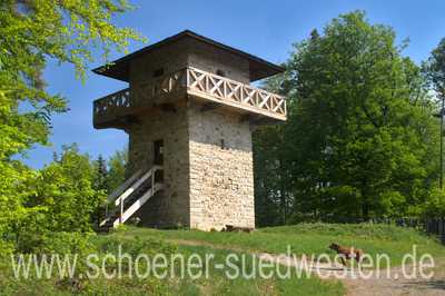 Limesturm bei Grab. Ein Hund steht davor