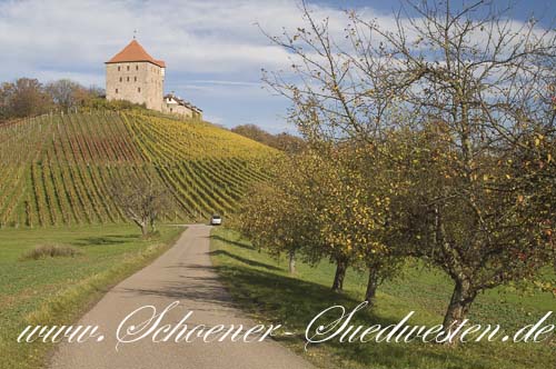 Burg Wildeck.