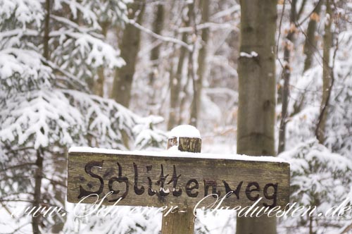 Der Schlittenweg – auf diesem Weg fuhren in früheren Zeiten die mit Holz beladenen Schlitten zum Ebnisee.