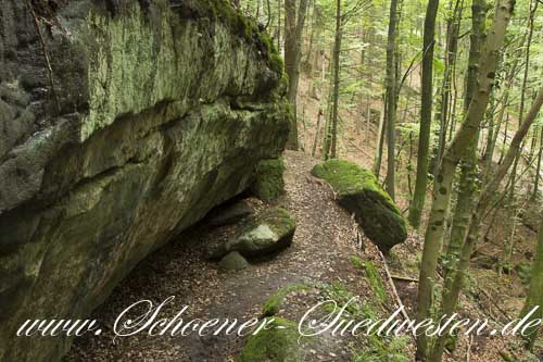 Markante Felswand in der Hüttlenwaldschlucht.