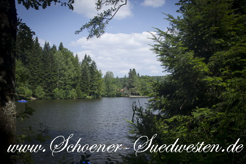 In eine nordische Landschaft versetzt fühlt man sich am Ebnisee.