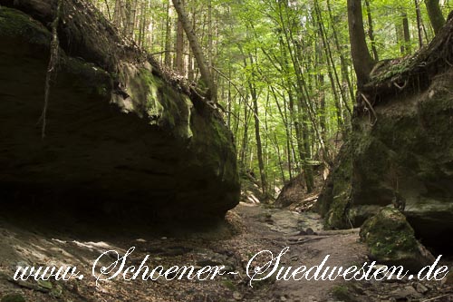 Eingang zur Tobelschlucht