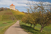 Burg Wildeck Burg Wildeck