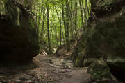 Die Bodenbach- und Tobelschlucht: wilde Klingen bei Wüstenrot