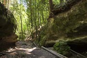 Erläuterndes zur Natur des Schwäbisch Fränkischen Waldes