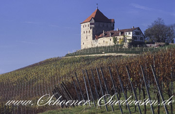 Burg Wildeck bei Abstatt