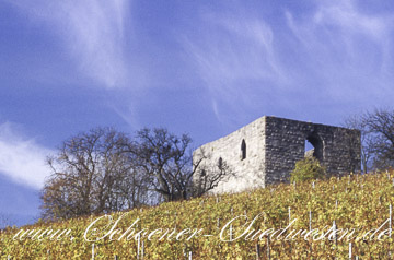 Ruine Helfenberg