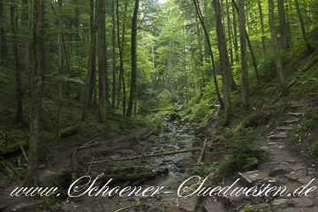 Schluchten, Klingen, Grotten und Felsformationen