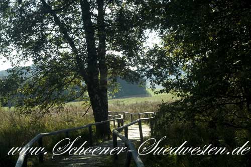 Ein Bohlenweg führt durch das kleine Schopflocher Moor.