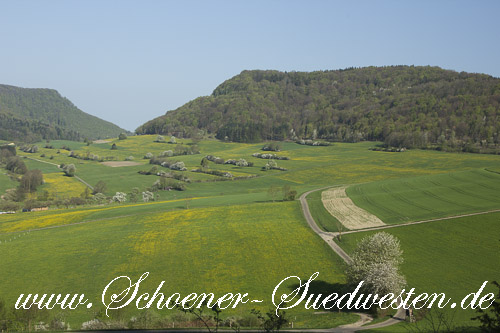 Blick in das Fischbachtal.