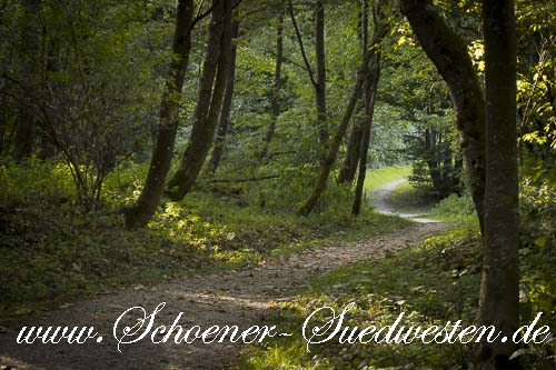 Verschlungener Weg auf dem Löwenpfad Berta–Hörnle Tour.