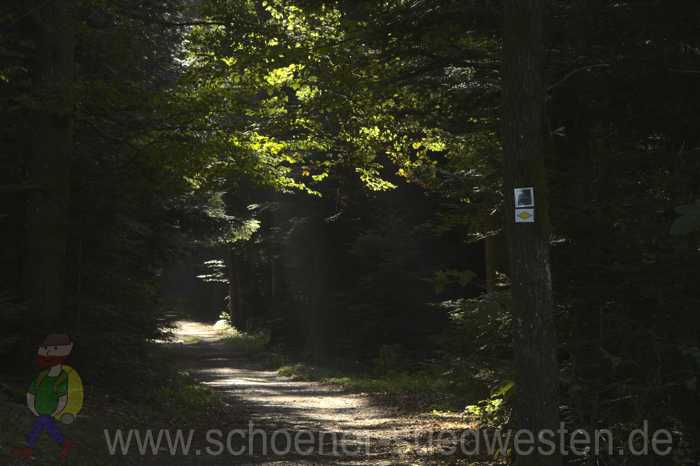 Herbststimmung