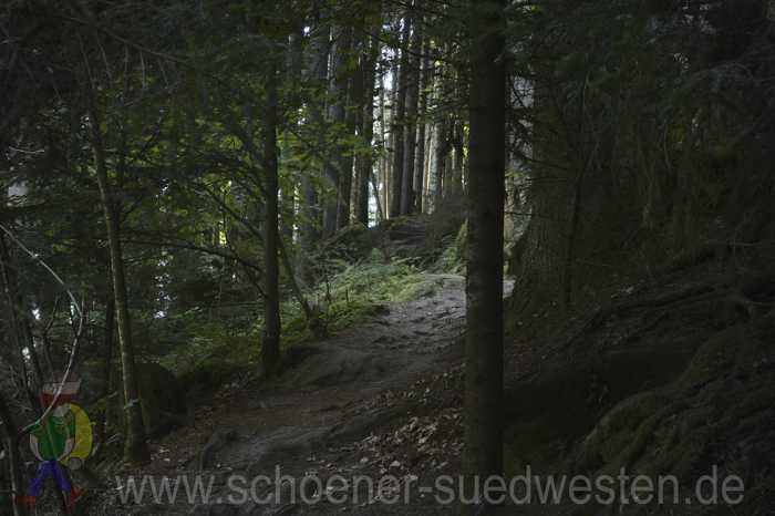 Auf dem Weg zum Stubenfelsen