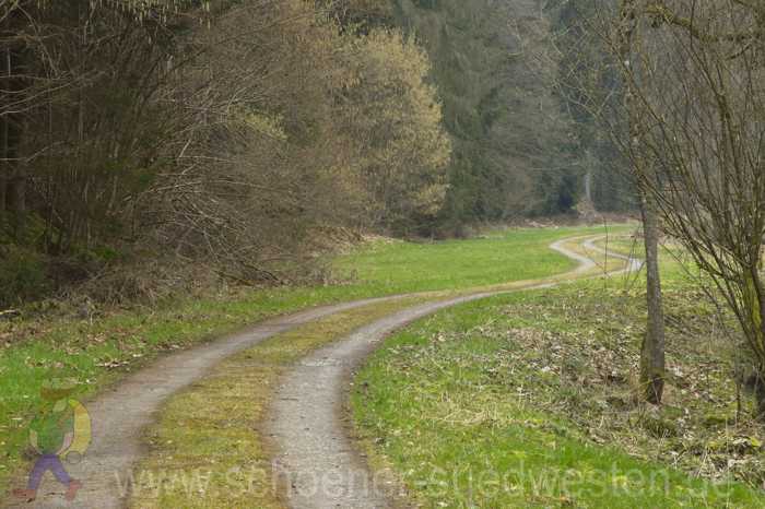 Weg entlang der Teinach