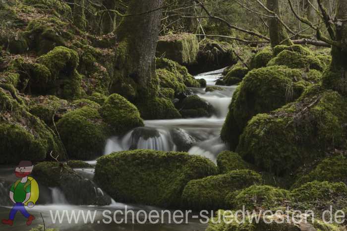 Teinach - Oberlauf