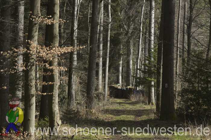 Waldweg