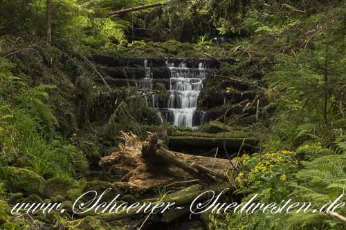 Durch das Einbauen von Stufen in den Bösen Ellbach wird dem Wasser Kraft genommen.