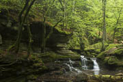 Wasserfall in der Monbachschlucht bei wenig Wasser