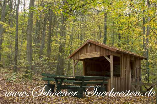 Ab der Hütte am Steinbruch geht es steil bergauf.