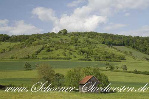 Der Füllmbacher Hofberg – Weinberg und orchideenreiches Naturschutzgebiet mitten im Wald.