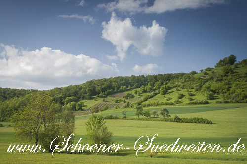 Wiesenlandschaft am Füllmenbacher Hofberg