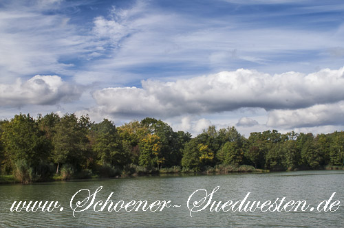 Blick auf einen der Seewaldseen bei Horrheim.