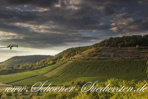 Weinberge, Wald und Wiesen prägen die Landschaft des Naturparks.