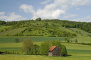 Botanisches Kleinod im Naturpark Stromberg-Heuchelberg