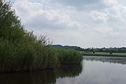 Der Roßweiher - von den Maulbronner Mönchen erschaffener See