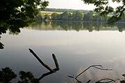 Der Aalkistensee - ein für die Vogelwelt überregional bedeutsames Gewässer