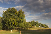 Obstwiese zwischen Gündelbach und Schützingen