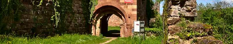 Abwechslungsreiche rund 15 km lange Wanderung durch herrliche Wälder und schöne Wiesentäler.