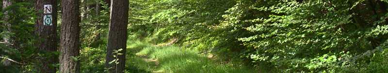 Übersicht über alle Wanderungen im Odenwald