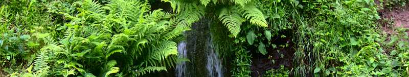 Herrliche rund 14 km lange Wanderung bei Schneeberg im Odenwald rund um das Morretal.